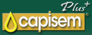 CAPISEM LOGO